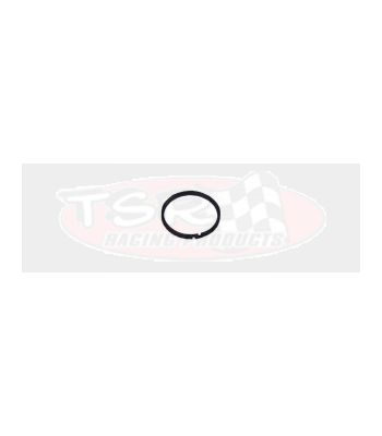 Powerglide Ring‚ Input Shaft‚ Iron APG-12851