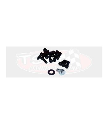 Powerglide PG Cast Pan Bolt Kit W/Drain Plug APG-5282BKA