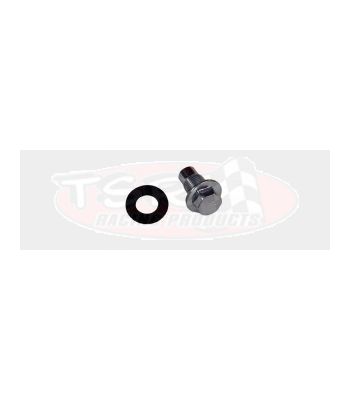 Powerglide Drain Plug‚ W/Gasket APG-DPK